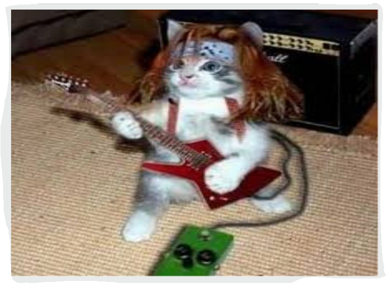 Capture.PNG kitty the rocker.PNG