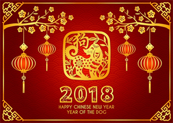 Chinese New Year.jpg