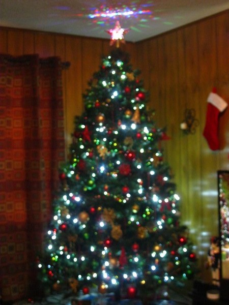 christmastree3.jpg