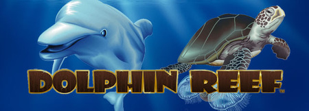 dolphin reef.jpg