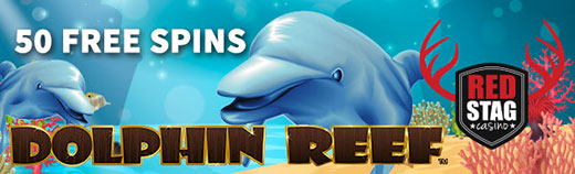 dolphinreef.jpg