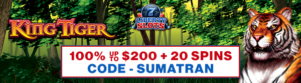 Liberty Slots Casino SUMATRAN No Deposit Forum.jpg