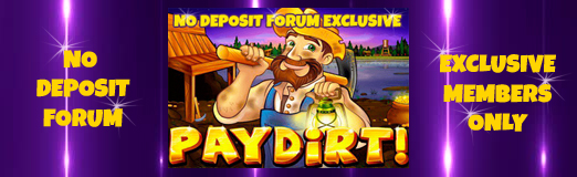 pay dirt newsletter.jpg