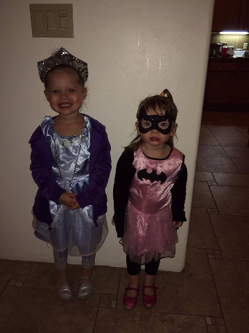 Princess and Batgirl.png