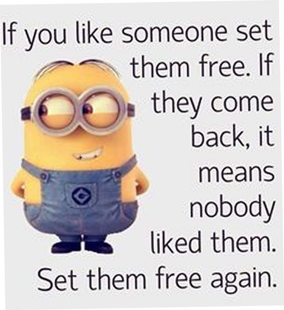 set them free.jpg