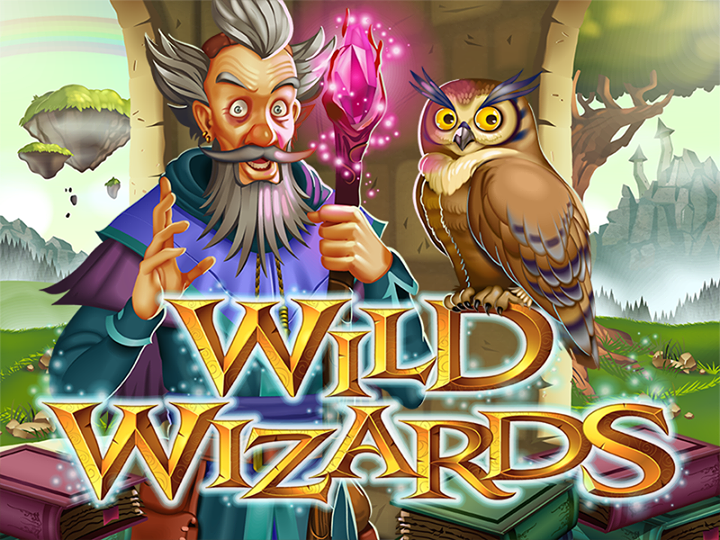 wild wizards.png